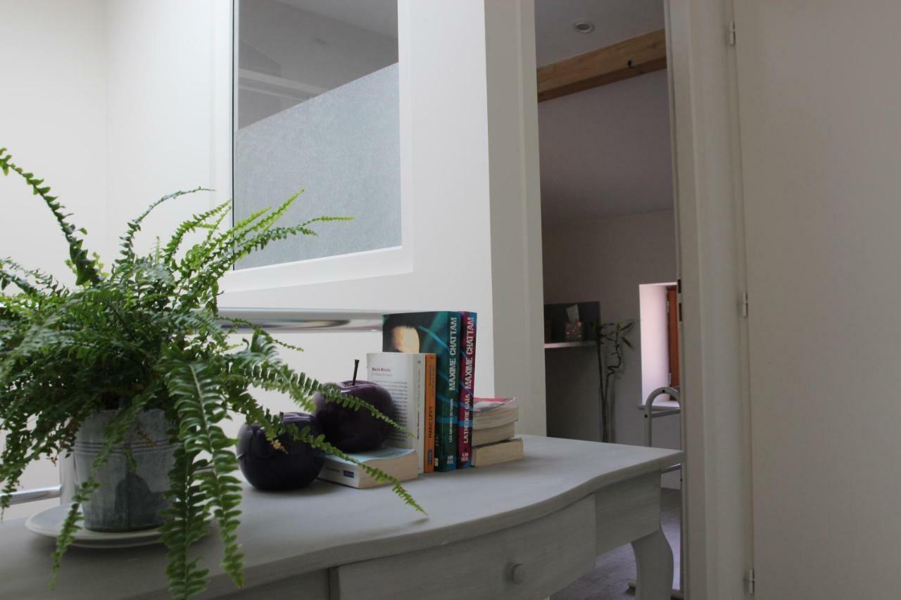 Grand Duplex Au Calme En Centre-Ville Villefranche-sur-Saône Eksteriør billede
