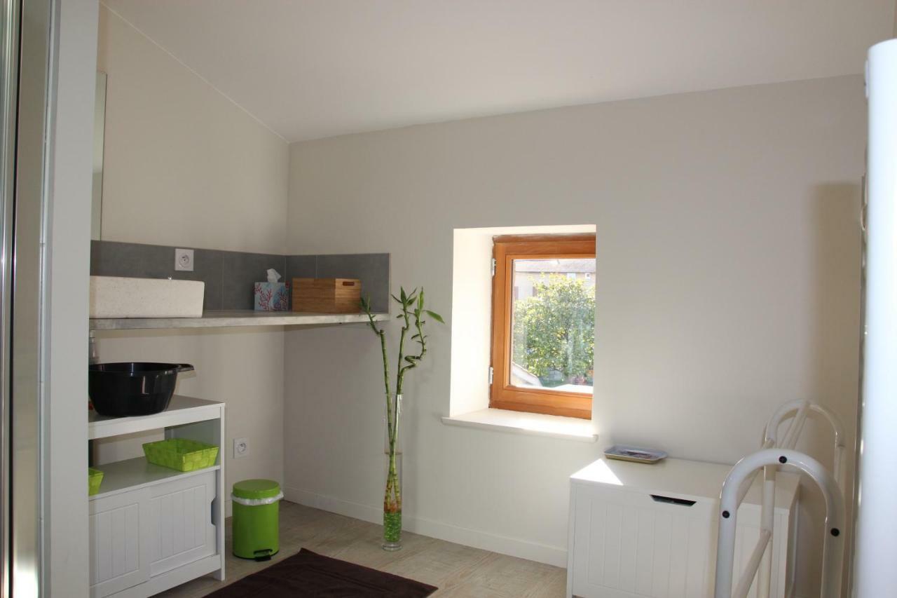 Grand Duplex Au Calme En Centre-Ville Villefranche-sur-Saône Eksteriør billede