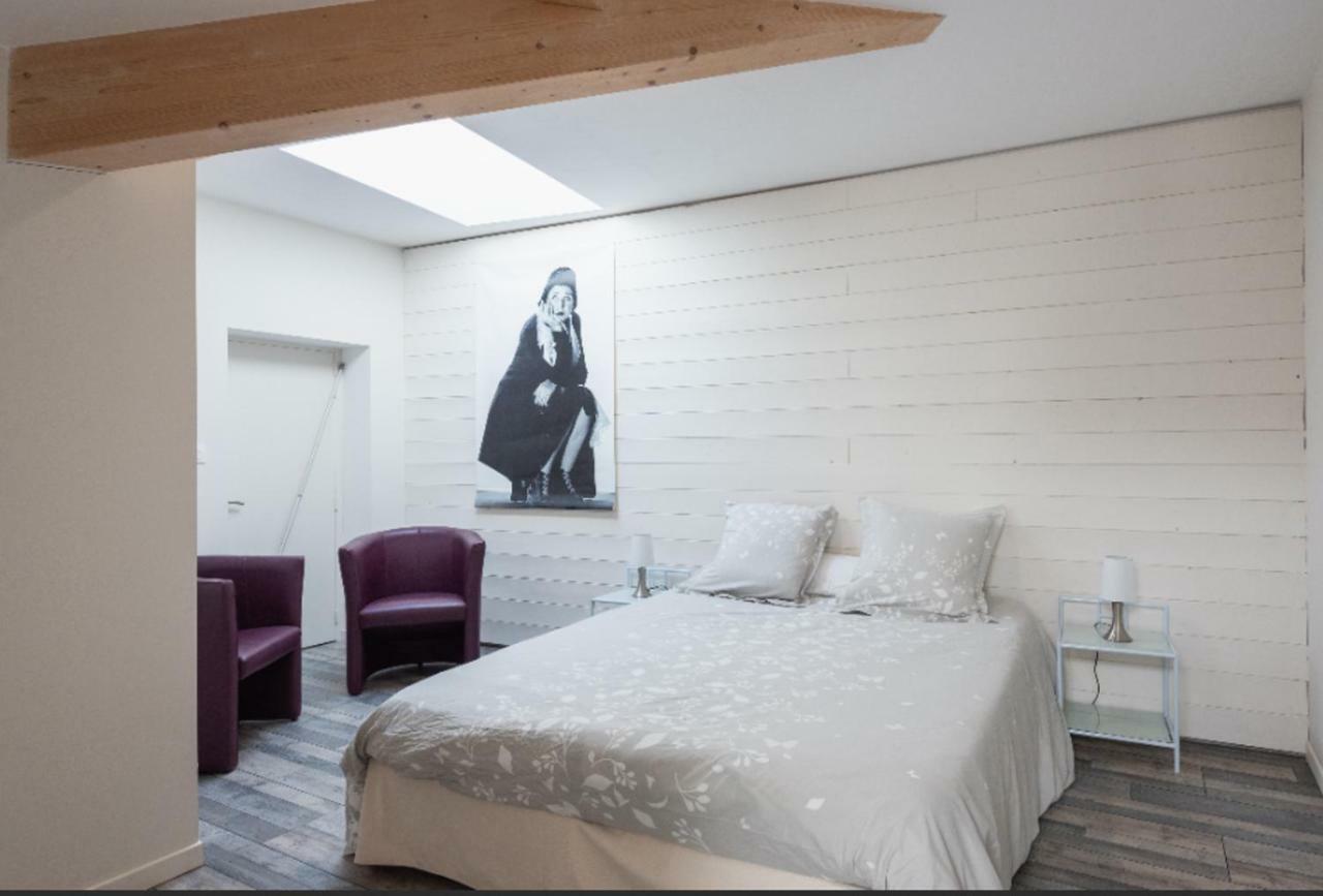 Grand Duplex Au Calme En Centre-Ville Villefranche-sur-Saône Eksteriør billede